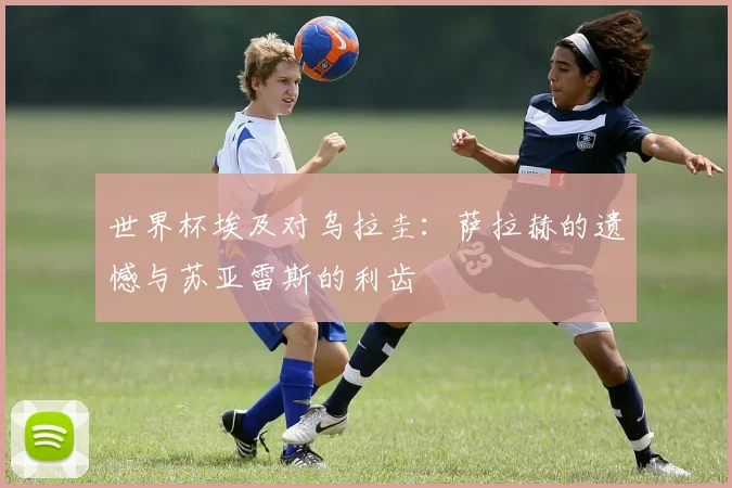 世界杯埃及对乌拉圭：萨拉赫的遗憾与苏亚雷斯的利齿