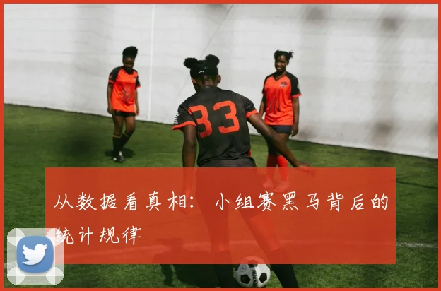 从数据看真相：小组赛黑马背后的统计规律