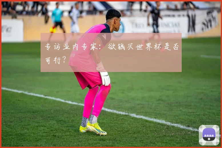 专访业内专家:欲钱买世界杯是否可行?