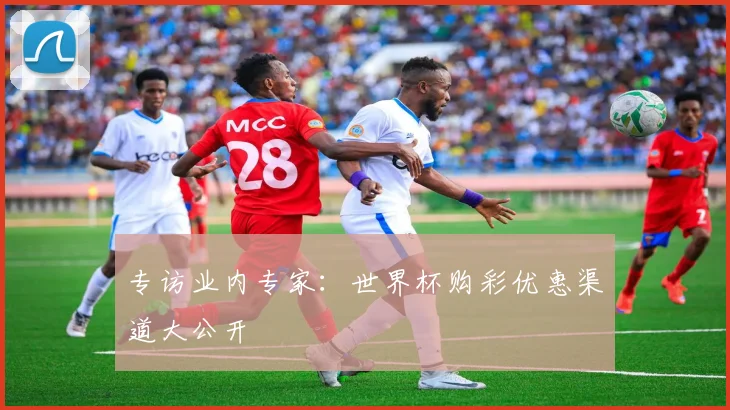 专访业内专家:世界杯购彩优惠渠道大公开