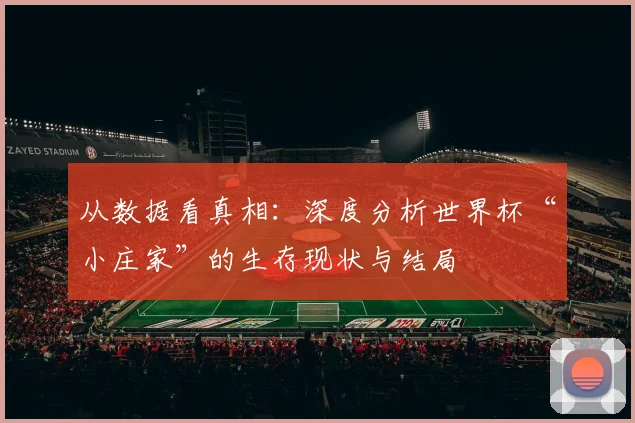 从数据看真相：深度分析世界杯“小庄家”的生存现状与结局